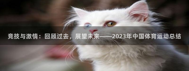 JJB竞技宝官方正版app娱乐网站:竞技与激情:回顾过去,展