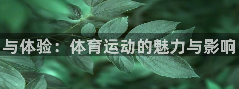 JJB竞技宝官方正版app神州:与体验:体育运动的魅力与影响
