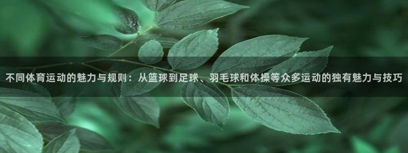 JJB竞技宝官方正版app官网:不同体育运动的魅力与规则:从
